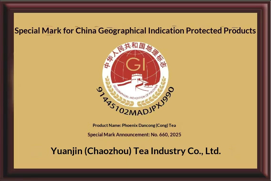 Phoenix Dancong —— A Product with Geographical Indication Protection in China
