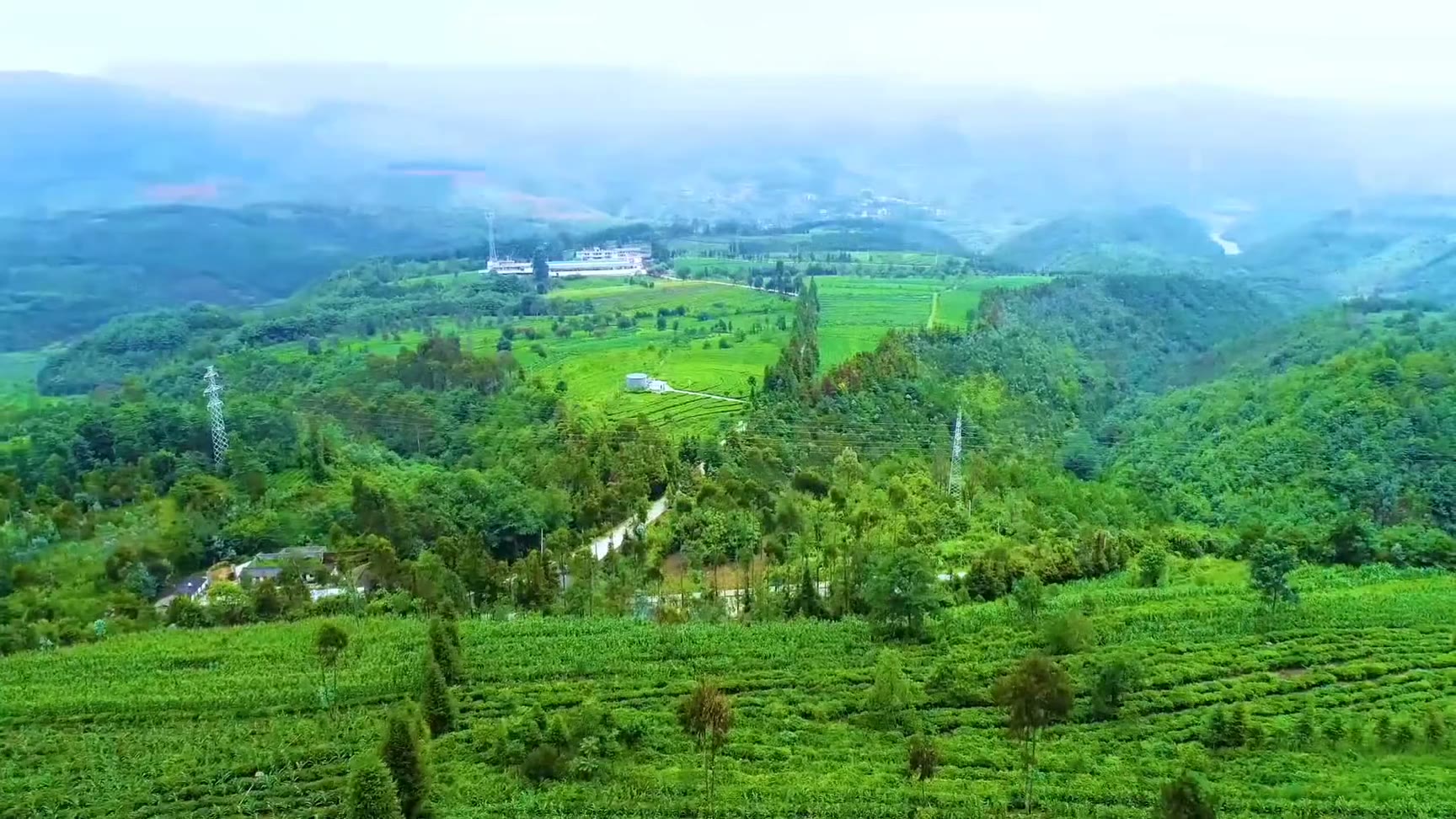 From a tea factory in Chaozhou to a global beverage brand.