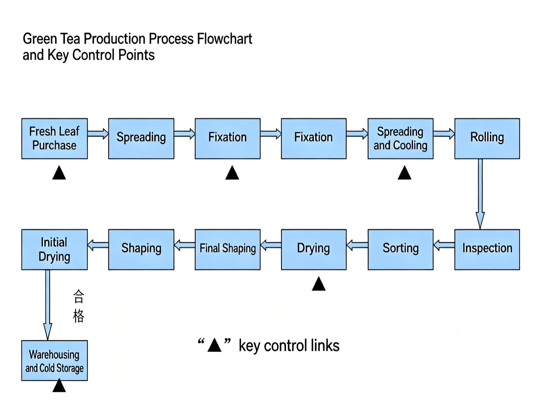 Green Tea Production Process Flowchart and Key Control Points