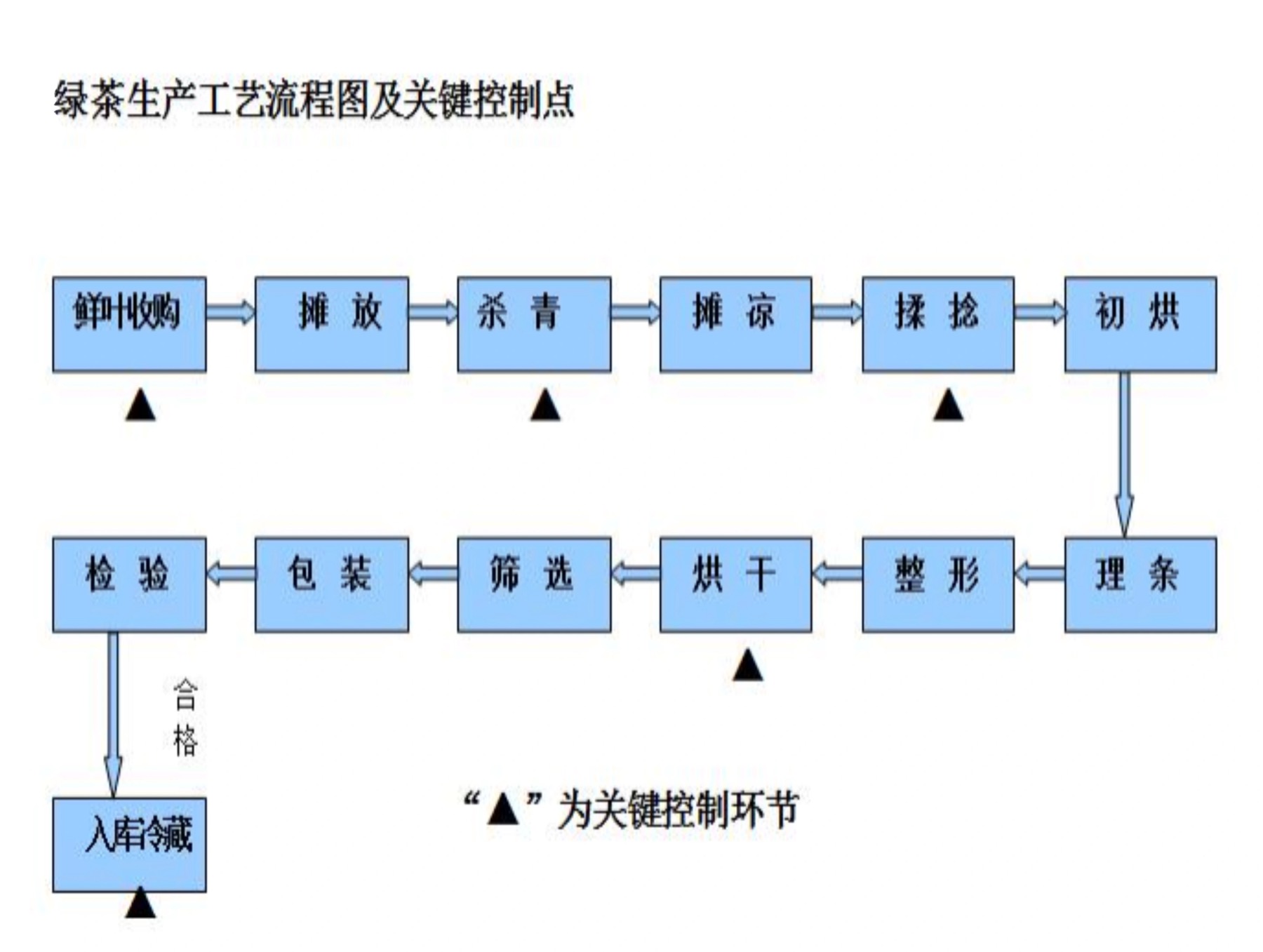 绿茶生产工艺流程图及关键控制点