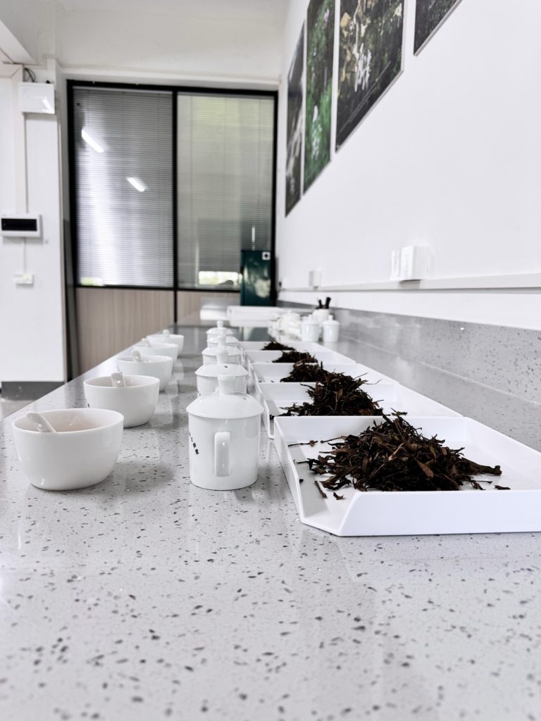 The Beginner's Guide to Sourcing Tea Ingredients for Beverage Manufacturing